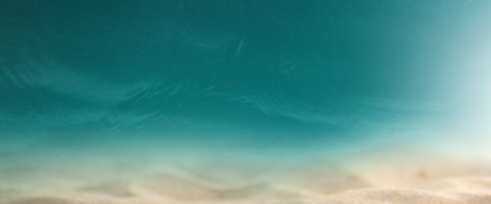 Missão Técnica Condomínios do Litoral Norte do RS